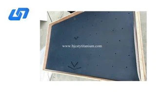 Titanium Electrodes rau Galvanizing